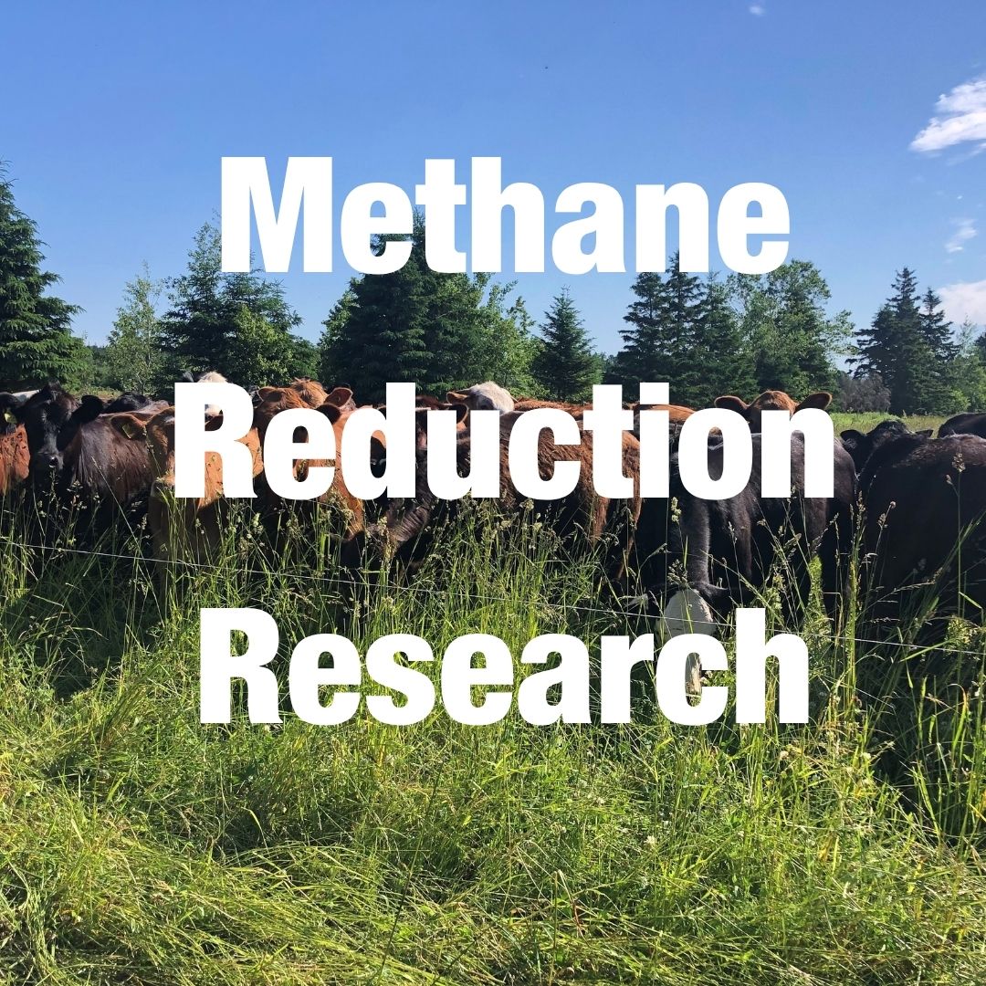 Methane Reduction Research2